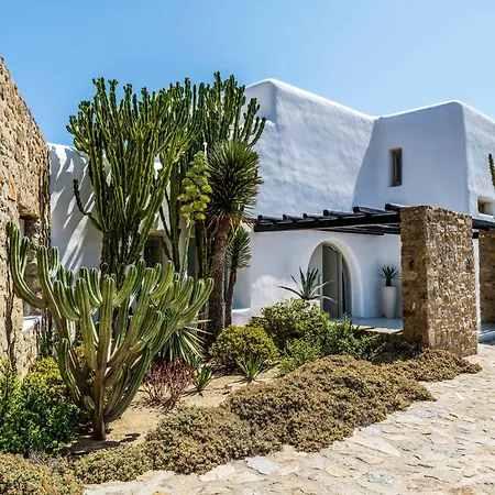 Agave Mykonos Town