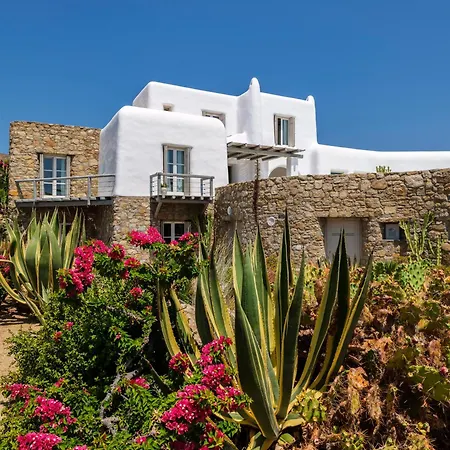 Agave * Mykonos Town